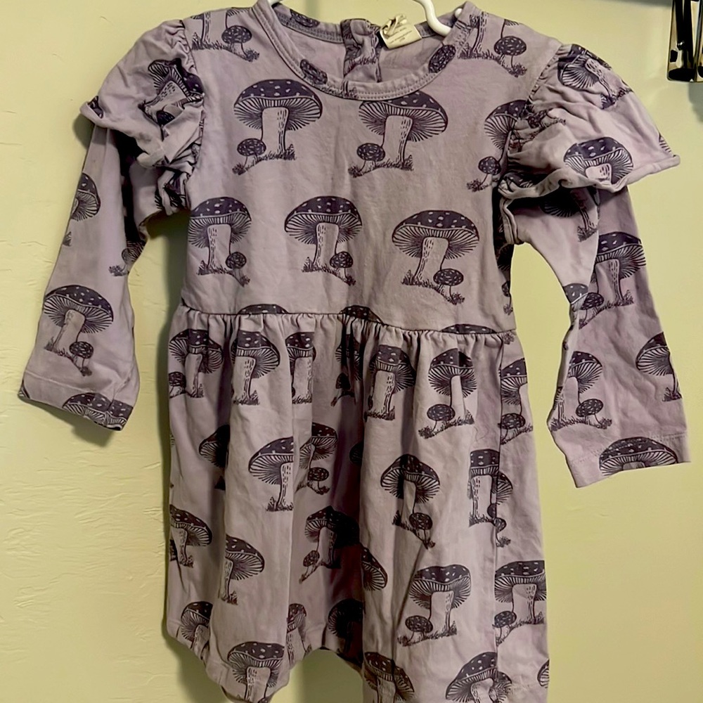 Kate Quinn 2T organic cotton mushroom girls dress